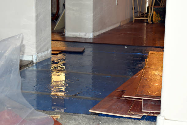 Professional Burst Pipe Cleanup technician working in Camp Meeker, CA